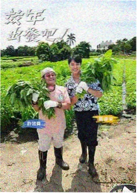 免费观看影视在线播放 - 咒术回战